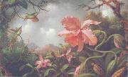 Martin Johnson Heade Orchids and Hummingbirds oil painting artist